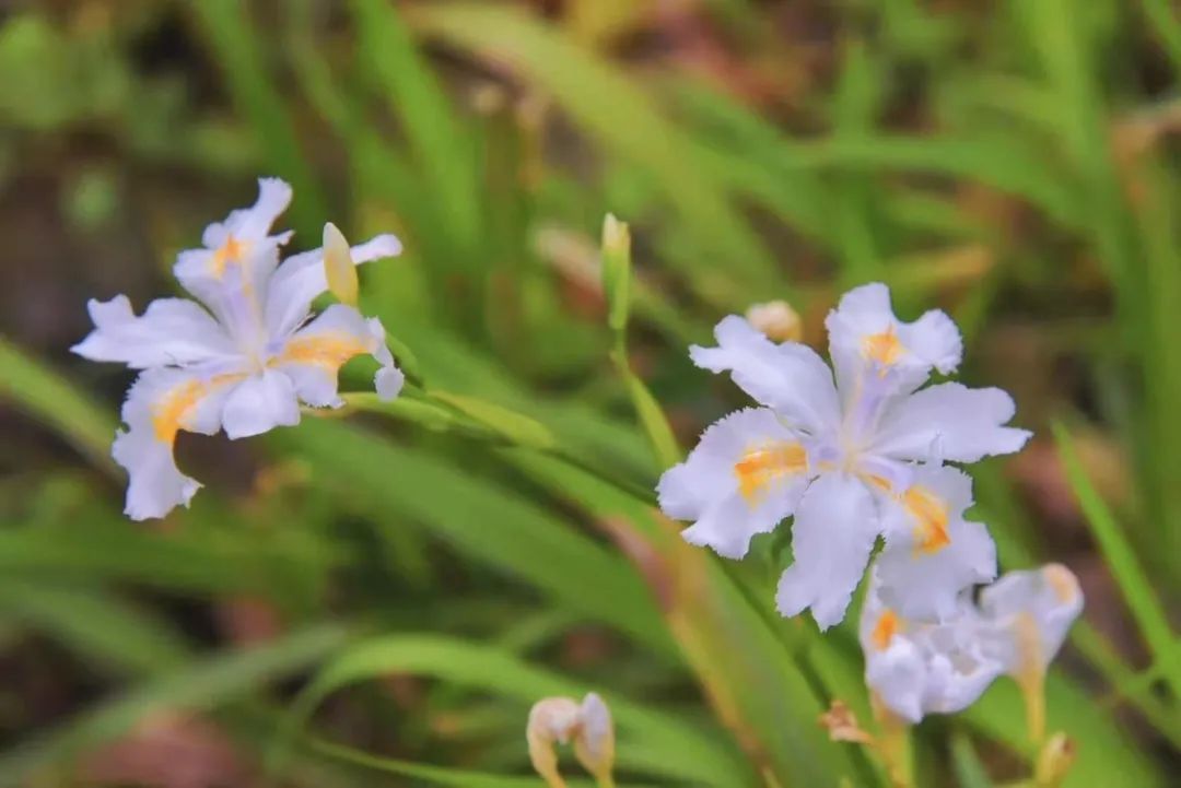 中国·太阳成tyc7111cc(集团)有限公司-官方网站