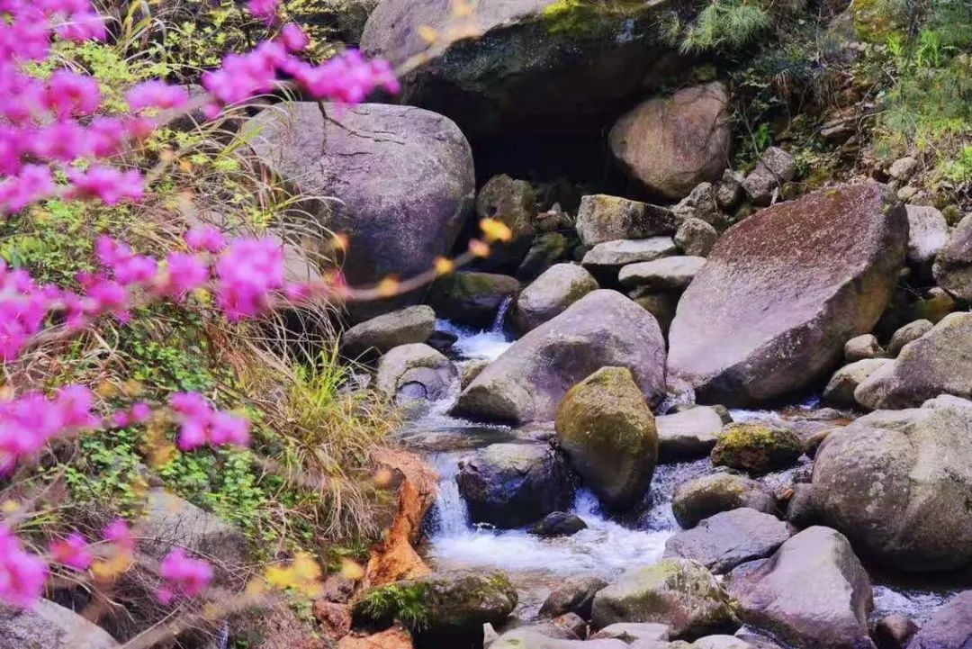 中国·太阳成tyc7111cc(集团)有限公司-官方网站