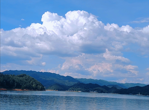 中国·太阳成tyc7111cc(集团)有限公司-官方网站