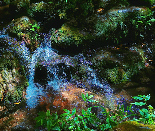 中国·太阳成tyc7111cc(集团)有限公司-官方网站